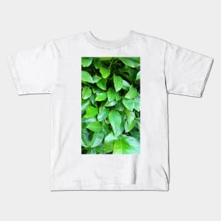 Lemon Tree Leaves Kids T-Shirt